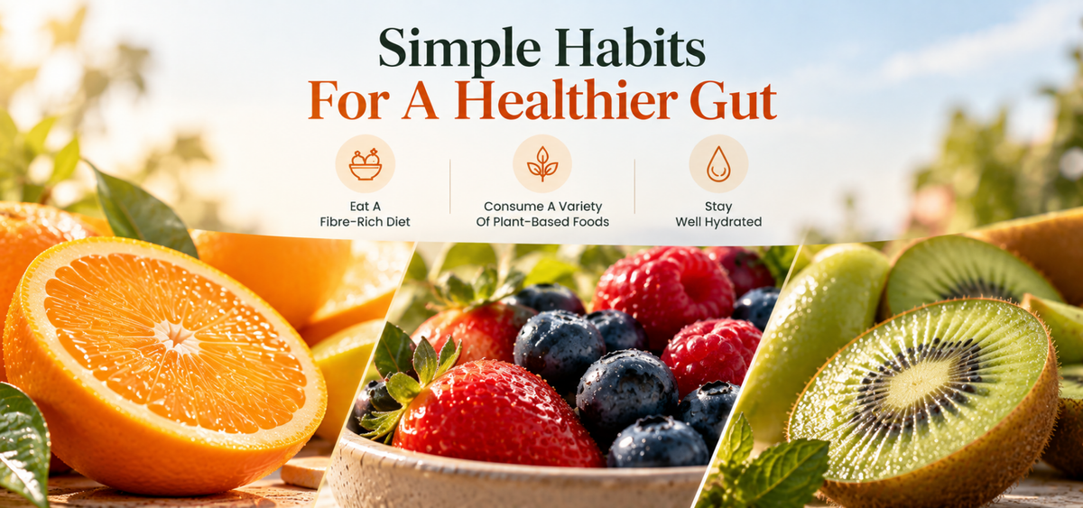 Why Gut Health Is the Foundation of Overall Wellness