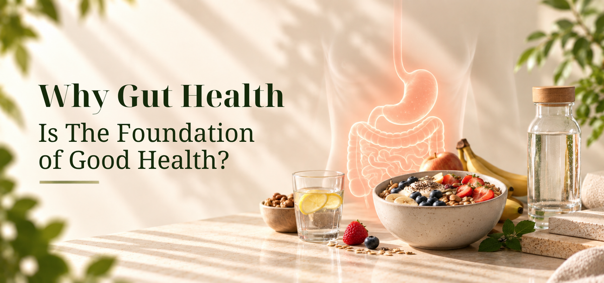 Why Gut Health Is the Foundation of Good Health?